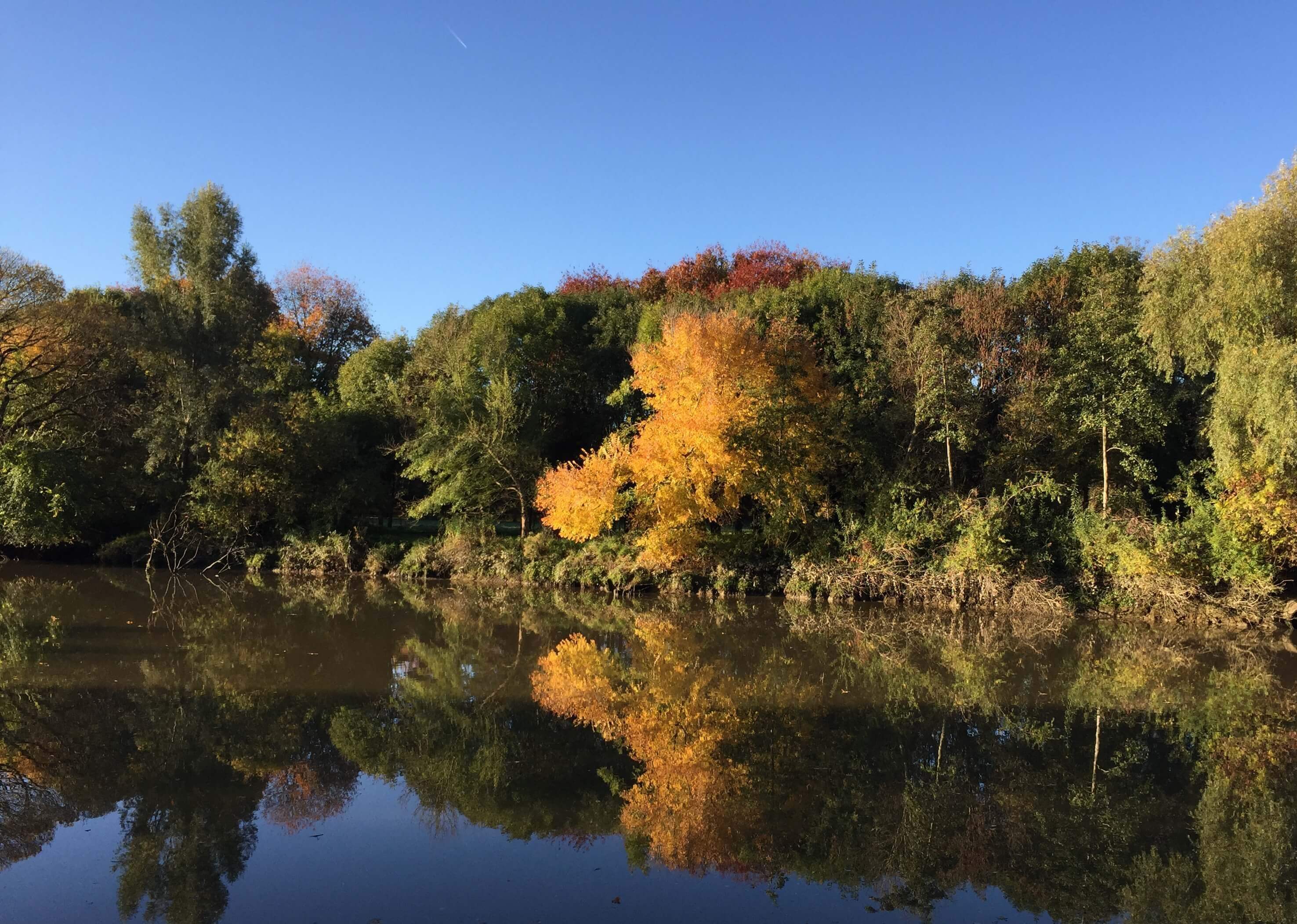 paysage automnal le long de la sèvre Nantaise