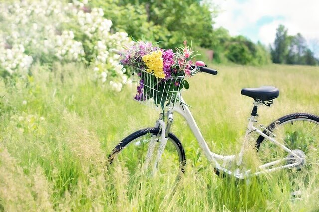 Indemnité kilométrique à vélo