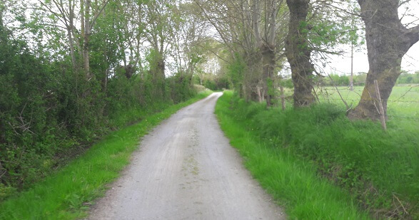 chemin loire à vélo