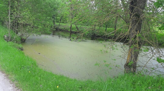 etang loire à vélo