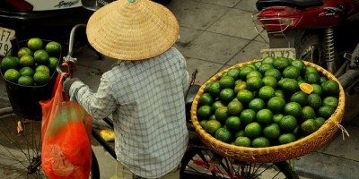 faire ses courses à vélo