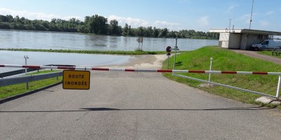 inondation du rhin