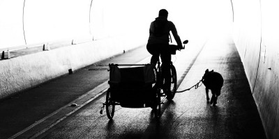 un chien et un vélo