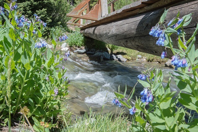 eau de rivière potable ou pas