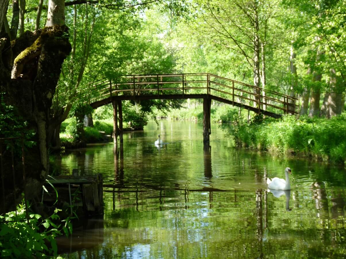 marais poitevin venis verte