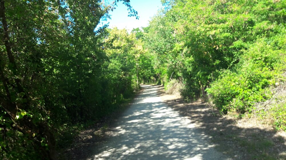 chemin marais poitevin velo francette