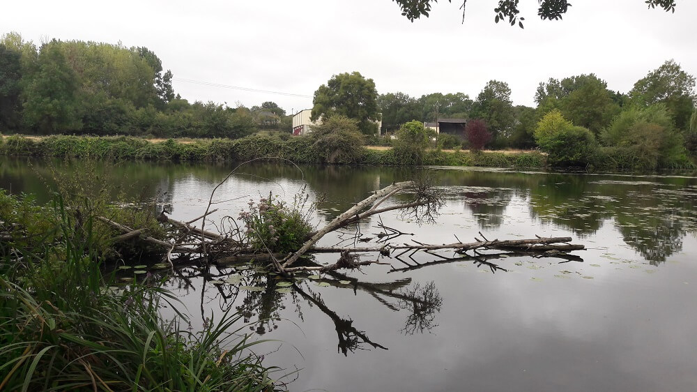 thouet rivière vélo francette