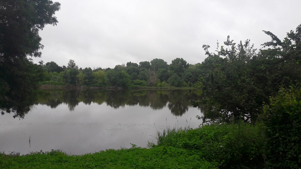 lac sur la loire à vélo