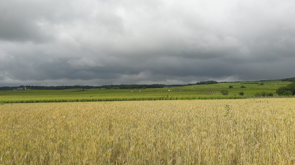 champs et vignes eurovelo 6