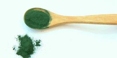 poudre de spiruline algue